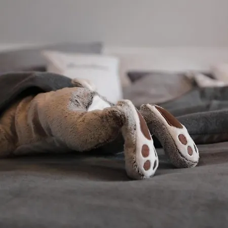 In Mit Terrasse- Garten Und Grill By Interhome דירה