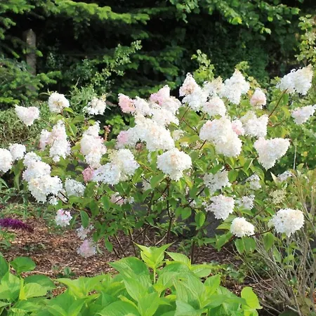 In Mit Terrasse- Garten Und Grill By Interhome Apartment Mastershausen