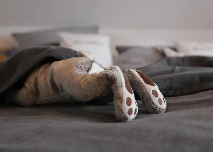 In Mit Terrasse- Garten Und Grill By Interhome Apartment