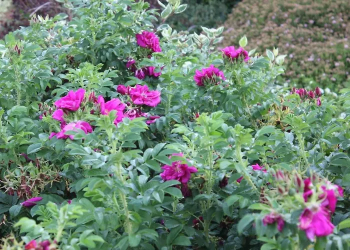 In Mit Terrasse- Garten Und Grill By Interhome