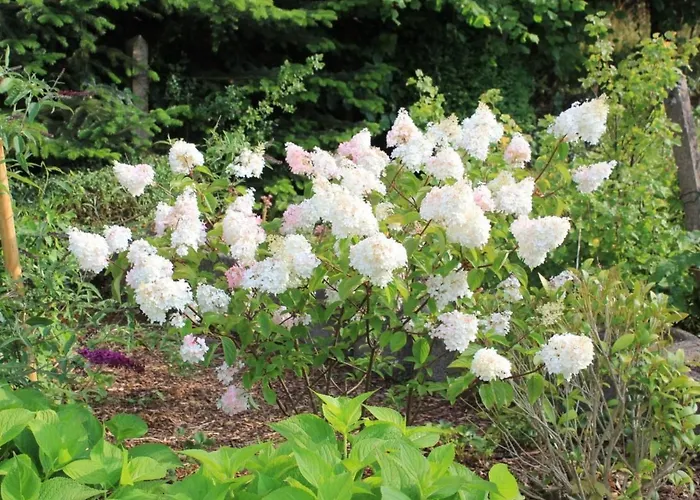 In Mit Terrasse- Garten Und Grill By Interhome דירה Mastershausen